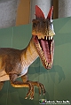 VBS_0982 - Dinosauri. Terra dei giganti